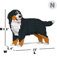 Bernese Mountain Dog - Panting - NORMAL - normal - watching