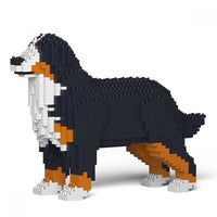 Bernese Mountain Dog - Sitting 2 - LARGE - normal - budget