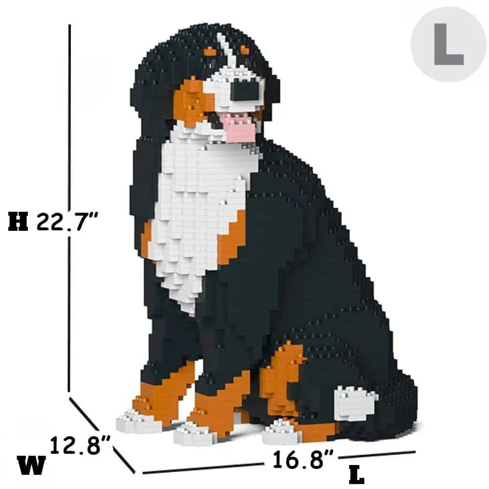 Bernese Mountain Dog - Sitting 2 - LARGE - Large - sitting