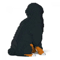 Bernese Mountain Dog - Sitting 2 - LARGE - Large - sitting