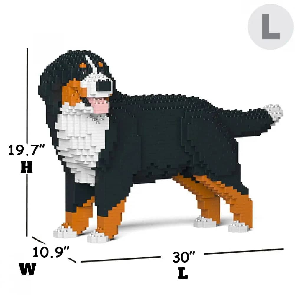 Bernese Mountain Dog - Watching - LARGE - large - watching