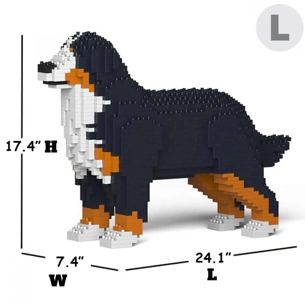 Bernese Mountain Dog - Panting - LARGE - large - budget