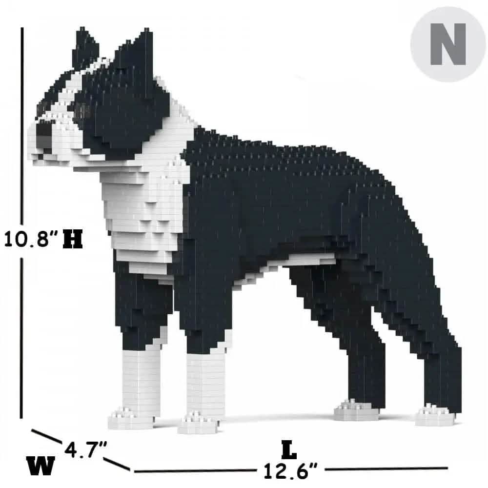 Boston Terrier - Black - NORMAL - normal - black
