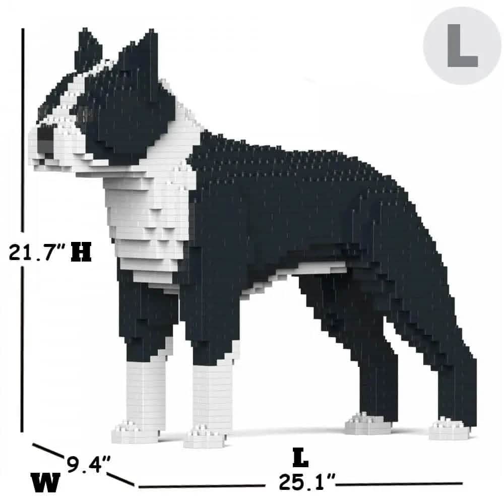 Boston Terrier - Black - LARGE - large - black
