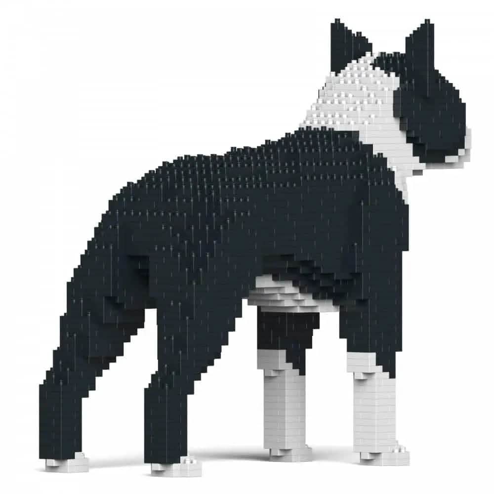 Boston Terrier - Black - LARGE - large - black