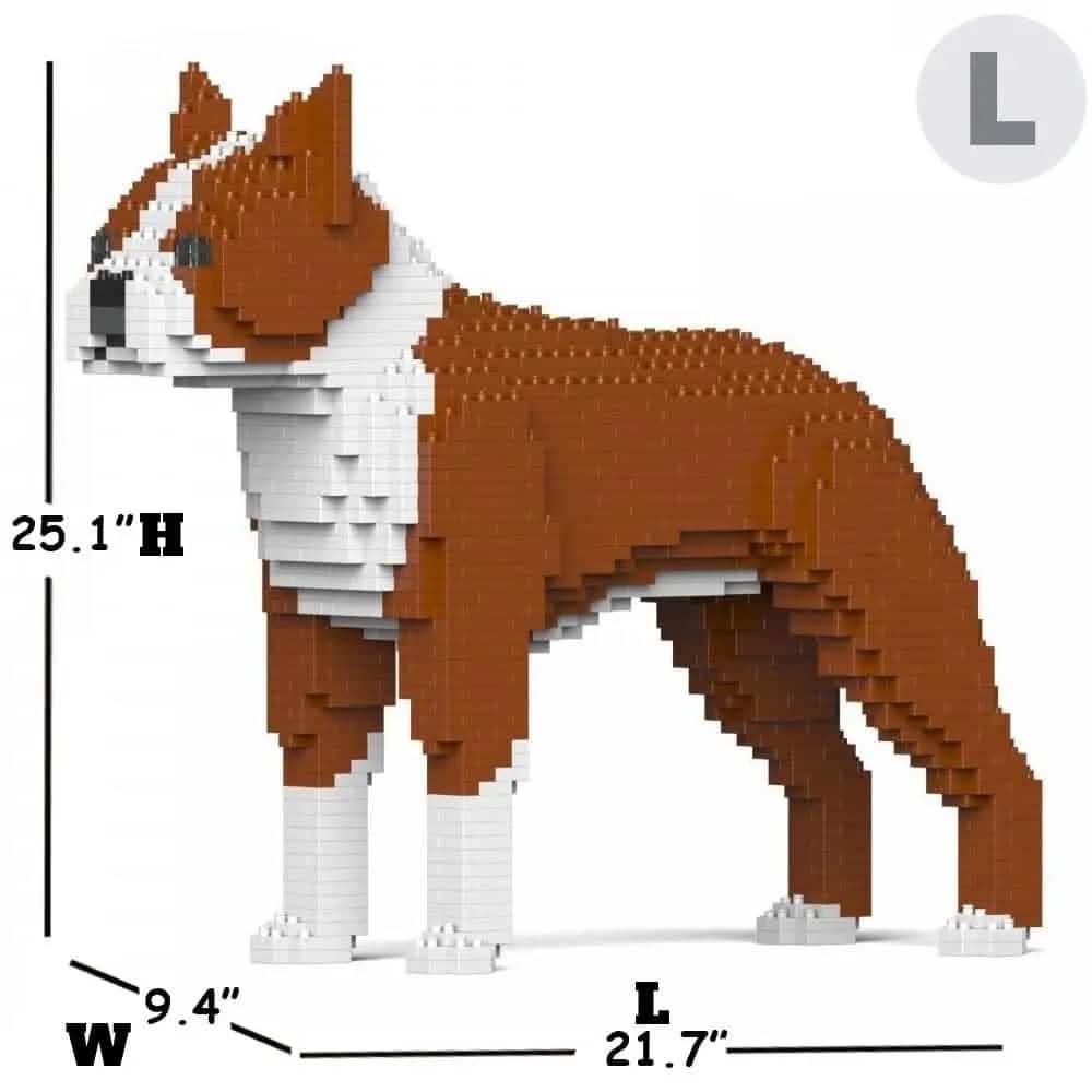 Boston Terrier - Reddish Brown - LARGE - large - reddishbrown
