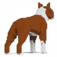 Boston Terrier - Reddish Brown - LARGE - large - reddishbrown