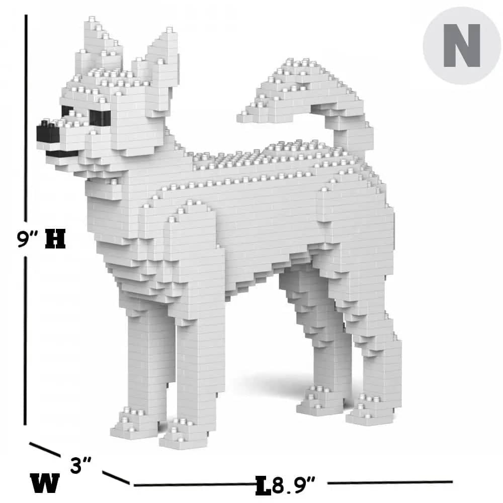 Chihuahua - White - NORMAL - normal - white