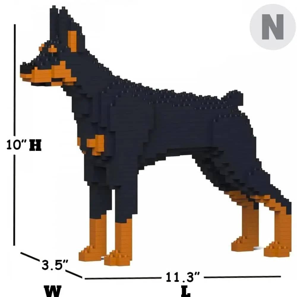 Doberman Pinscher - Black - NORMAL - normal - black