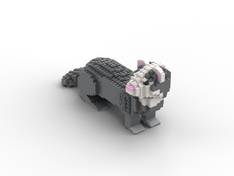 Ferret - Ferret