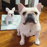 sitting-normal-cream