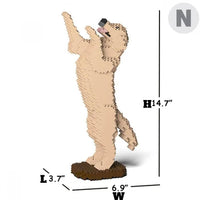 normal-yellow-tricks