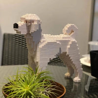 Labradoodle - Cream - NORMAL - normal - cream