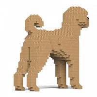 Labradoodle - Yellow - LARGE - large - yellow