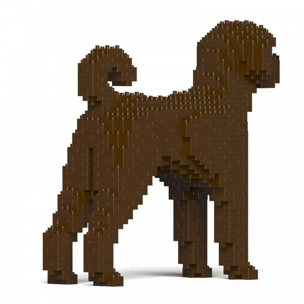 Labradoodle - Dark Brown - LARGE - large - darkbrown