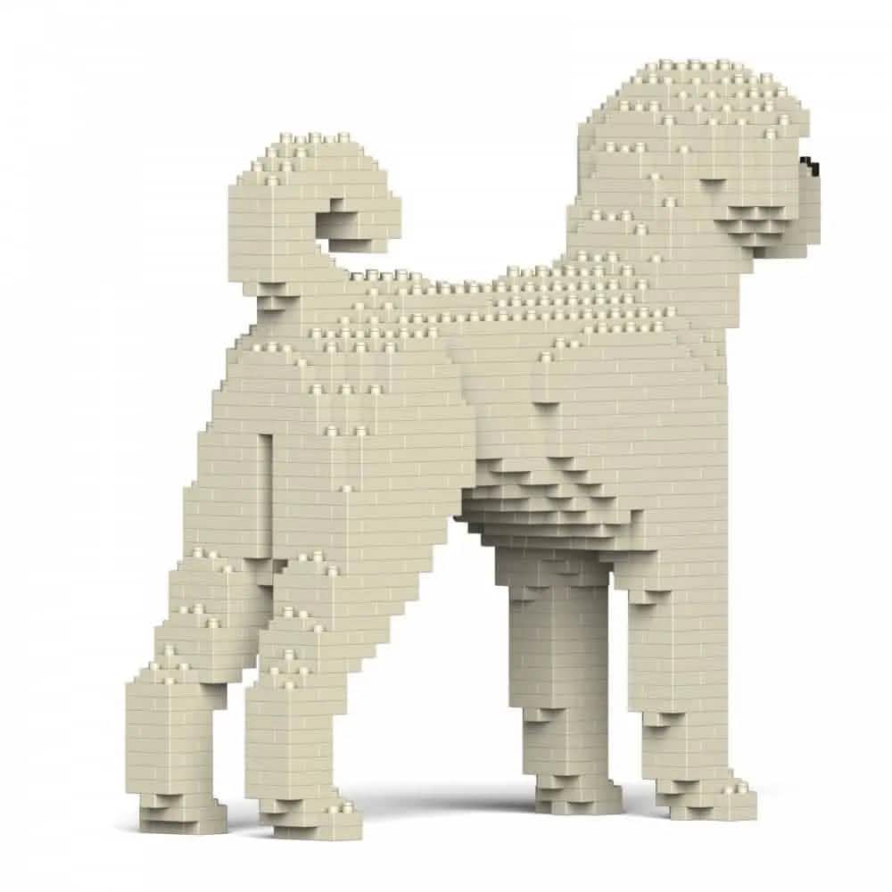 Labradoodle - Cream - LARGE - large - cream