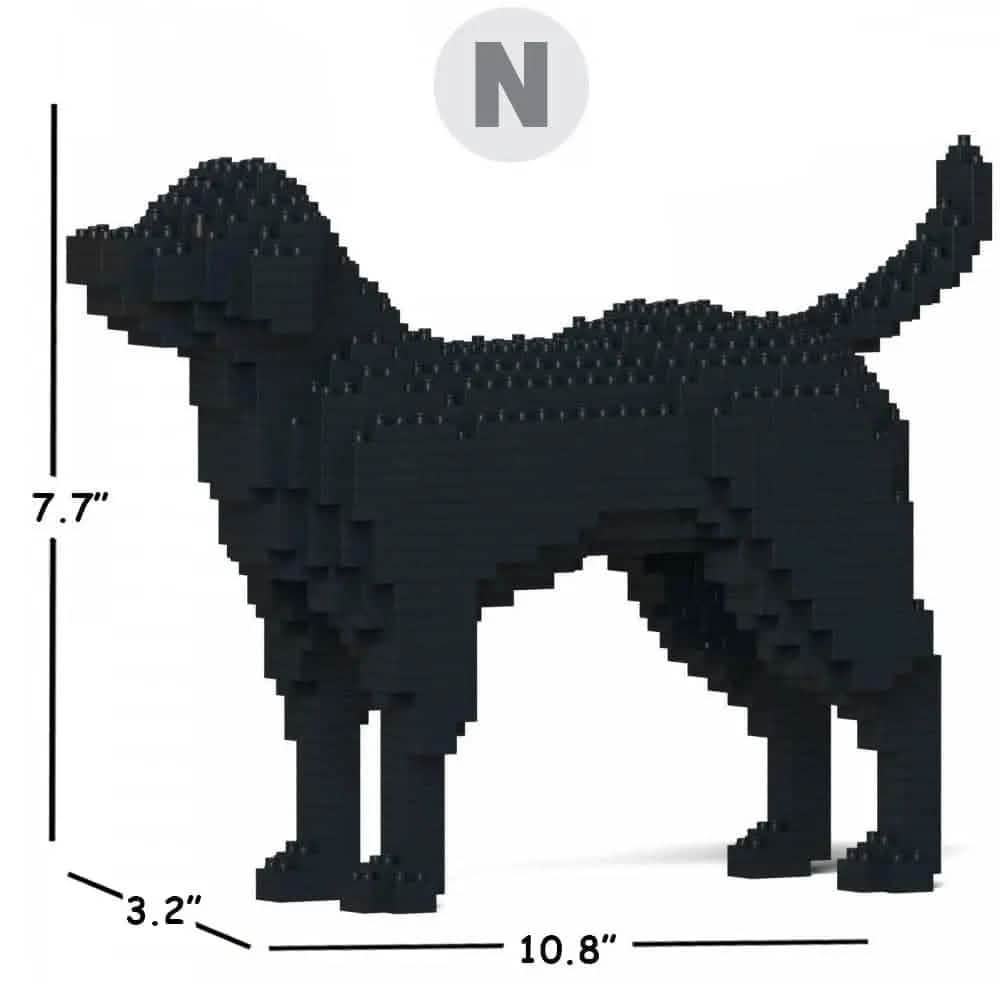 Labrador Retriever (SALE) - Black - NORMAL - normal - black