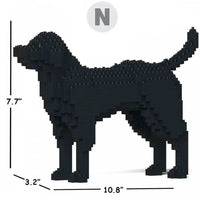 Labrador Retriever (SALE) - Black - NORMAL - normal - black