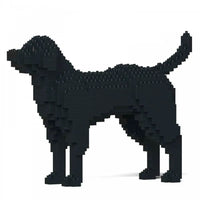 Labrador Retriever (SALE) - Black - NORMAL - normal - black