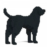 Labrador Retriever (SALE) - Black - NORMAL - normal - black