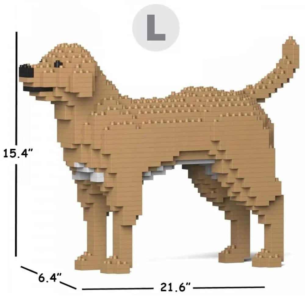 Labrador Retriever (SALE) - Cream - NORMAL - large - yellow