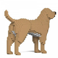 Labrador Retriever (SALE) - Cream - NORMAL - large - yellow