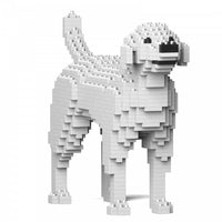 Labrador Retriever (SALE) - Cream - NORMAL - large - white