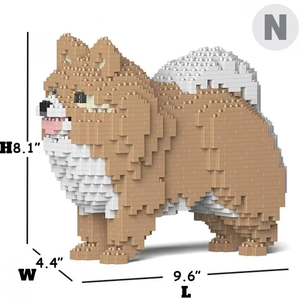 Pomeranian - Tan and White - NORMAL - normal - tanandwhite
