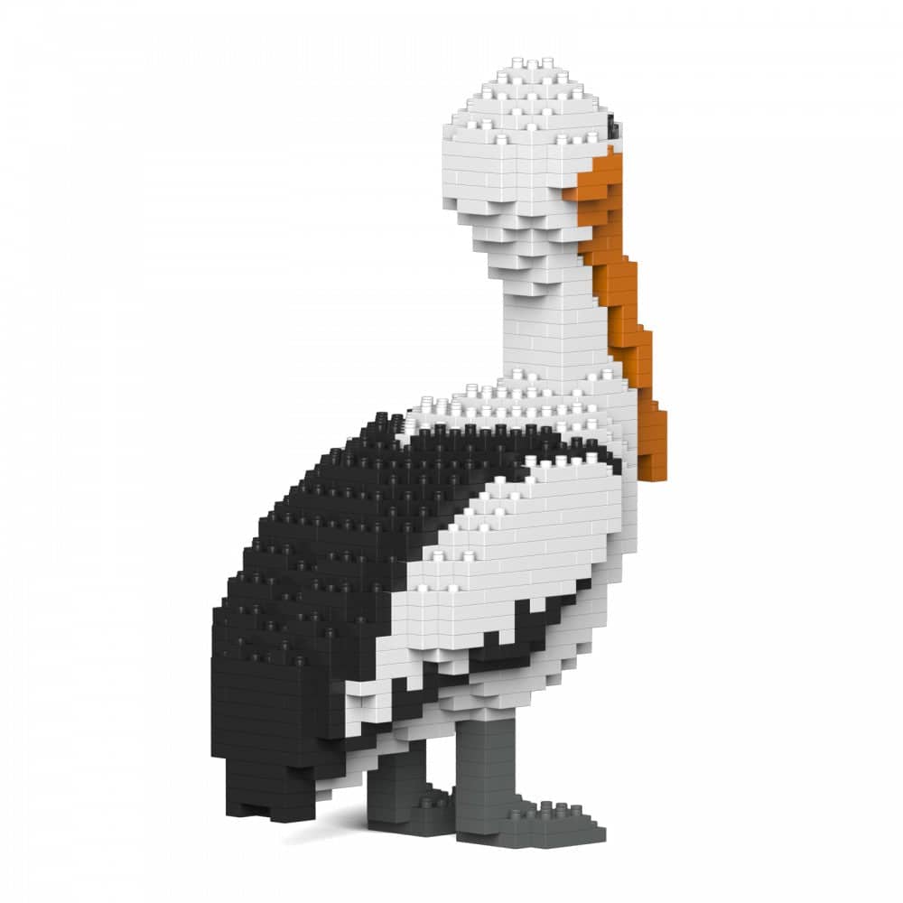 Pelican