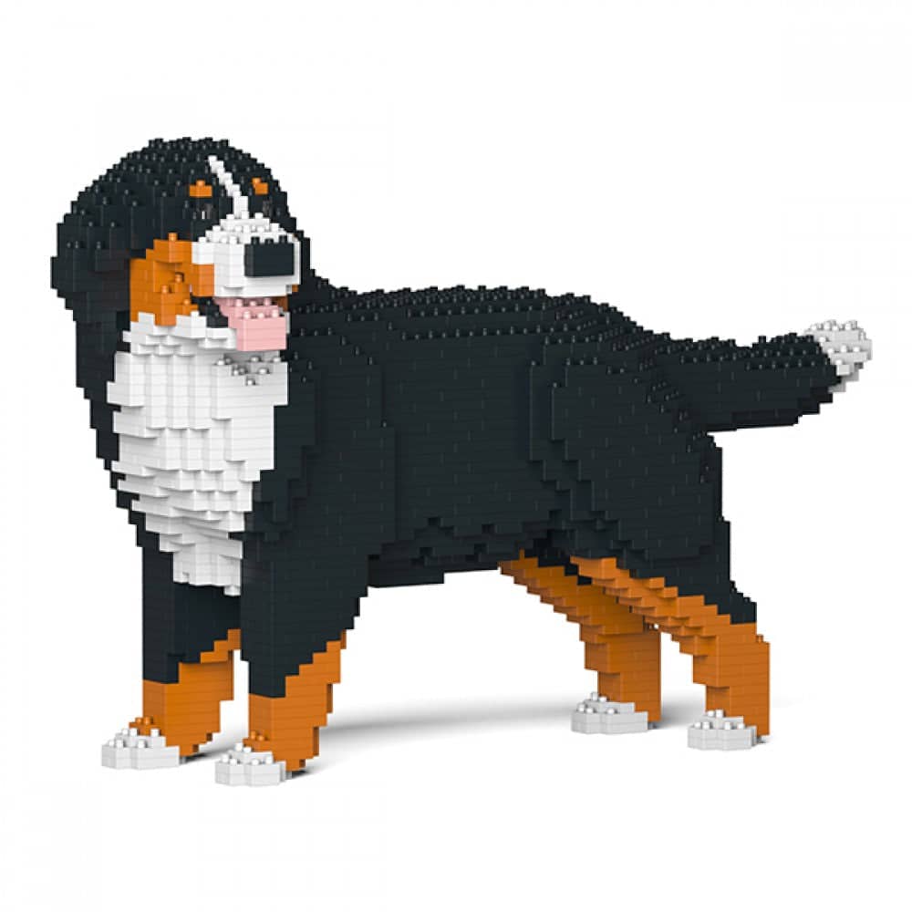 Bernese Mountain Dog - Sitting 2 - LARGE - Bernese Mountain Dog