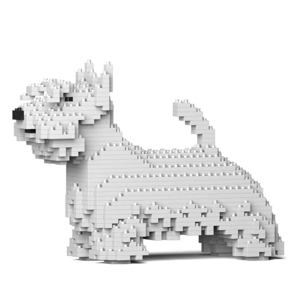 Scottish Terrier - White - NORMAL - normal - white