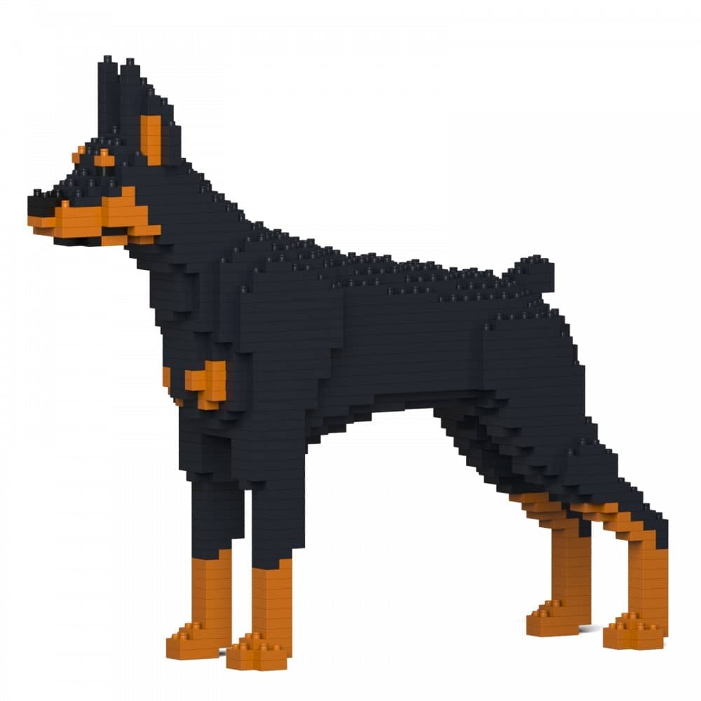 Doberman Pinscher - Black - NORMAL - Doberman Pinscher
