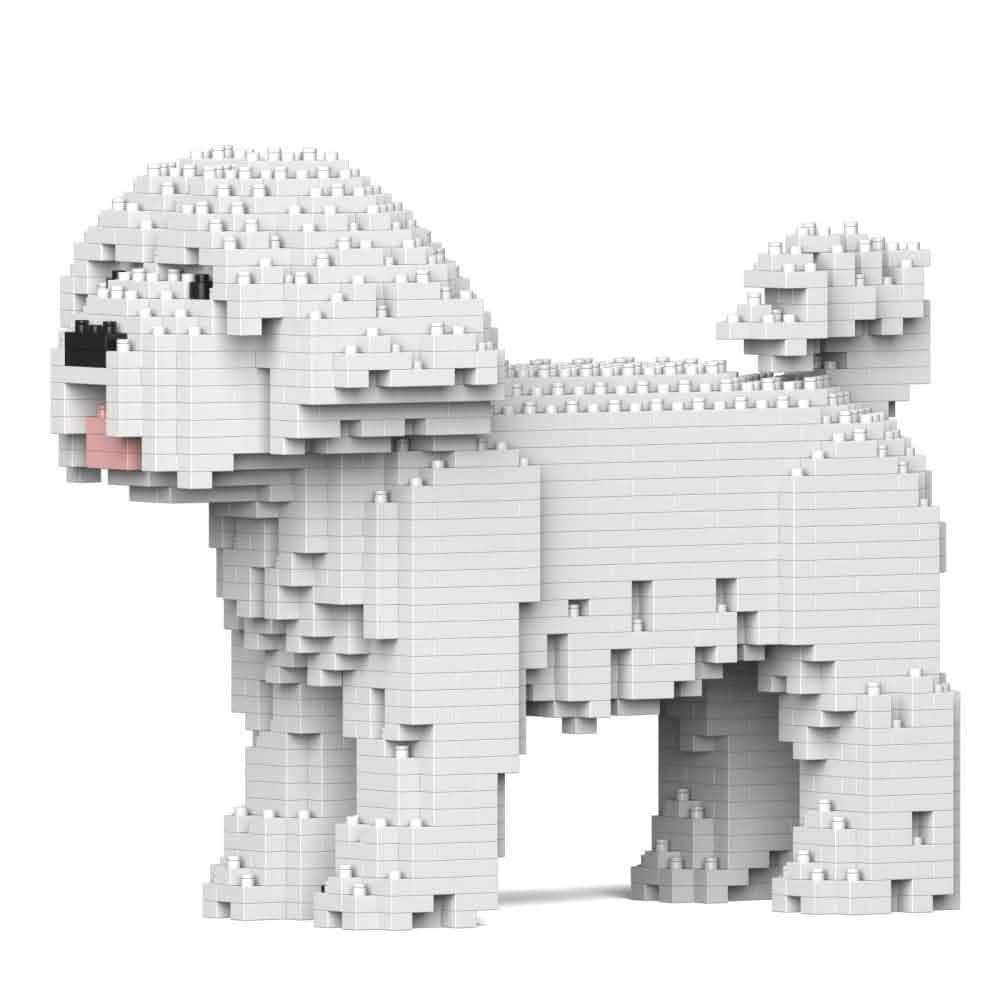 Maltese - NORMAL - normal - white