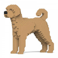 Labradoodle - Yellow - NORMAL - Labradoodle