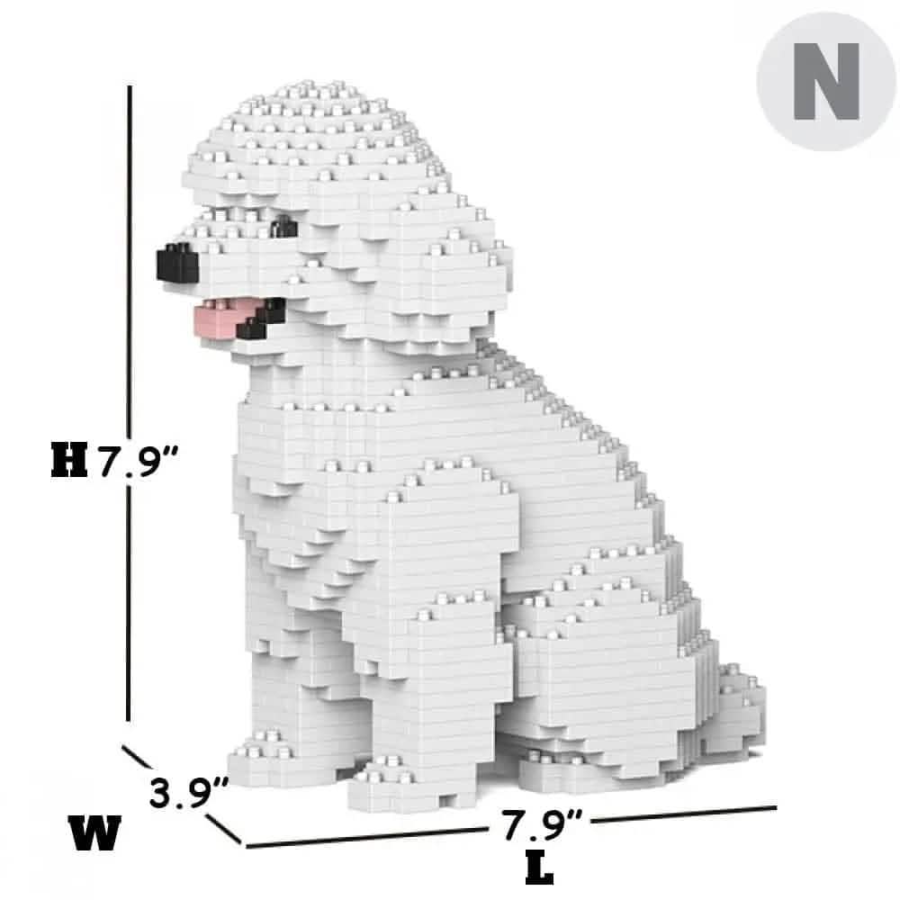 Toy Poodle - White - Sitting - NORMAL - normal - white - sitting