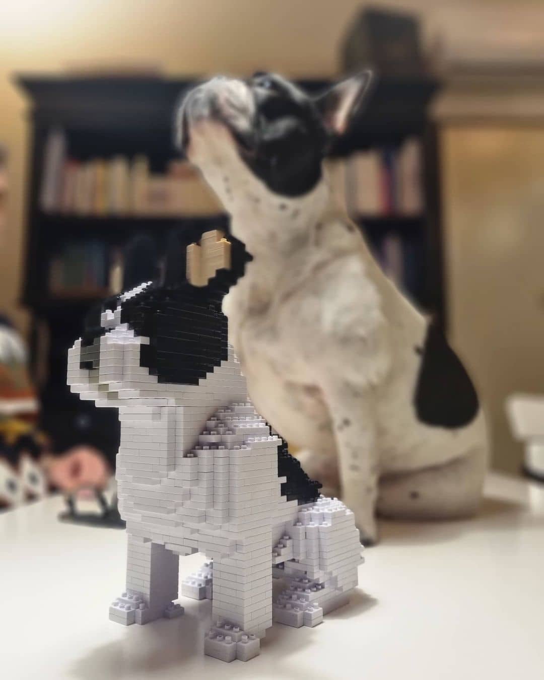 sitting-normal-white