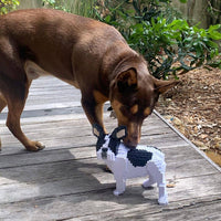 looking-normal-white