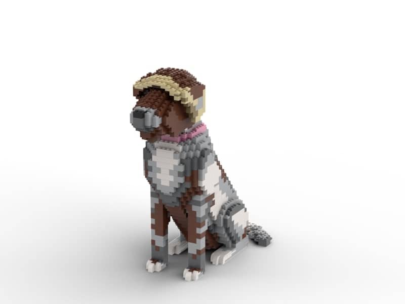 Wirehaired Pointing Griffon - Wirehaired Pointing Griffon Building Kit Interlocking Blocks Pet Building Kit