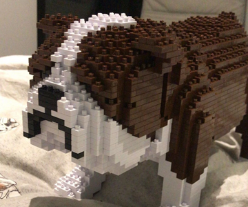 Dog Building Blocks
