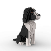 Cocker Spaniel americano