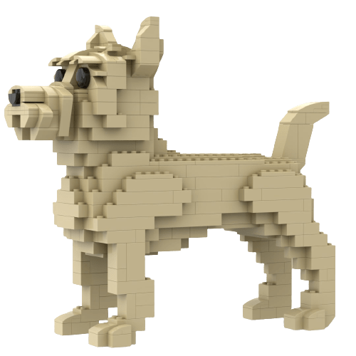 Cairn Terrier