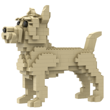 Cairn Terrier