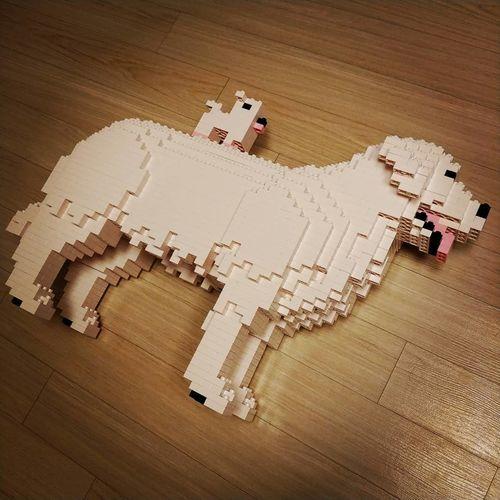 large-yellow-morefurr