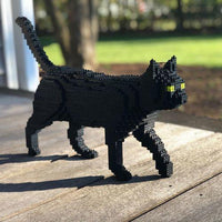 Gato negro