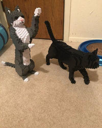 Gato de esmoquin gris