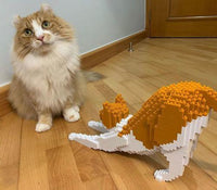 Gato naranja y blanco