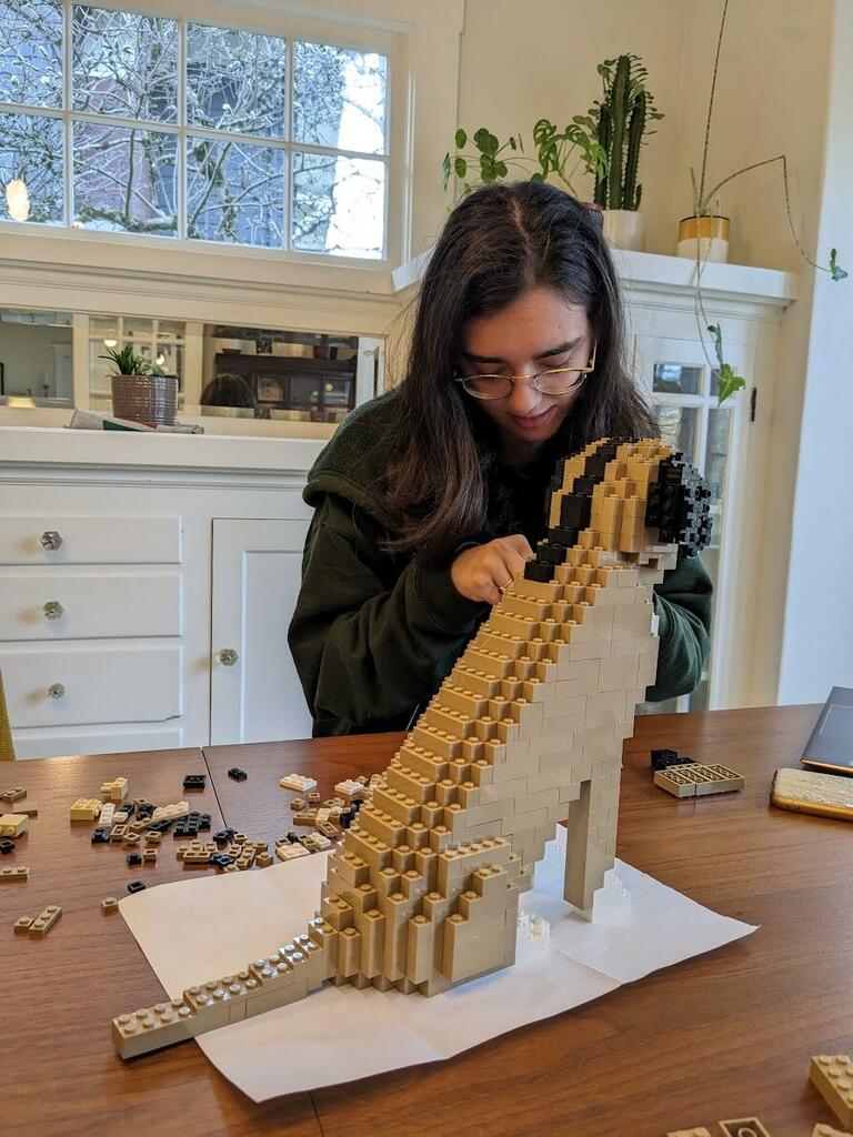 Kit de mascota personalizado (no incluye ladrillos)