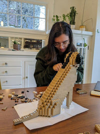 Kit de mascota personalizado (no incluye ladrillos)