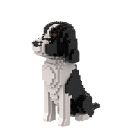 Cocker Spaniel americano