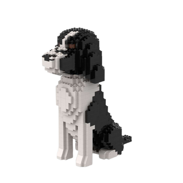 Cocker Spaniel americano